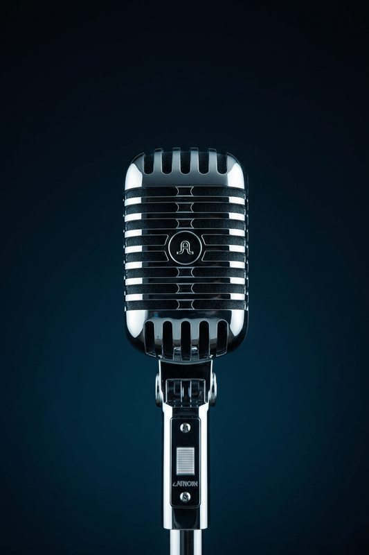 Microphone Shape Shower Head